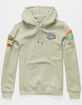 THE NORTH FACE Novelty Patch Mens Hoodie image number 2