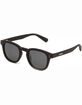 CARVE Havana Polarized Sunglasses image number 1