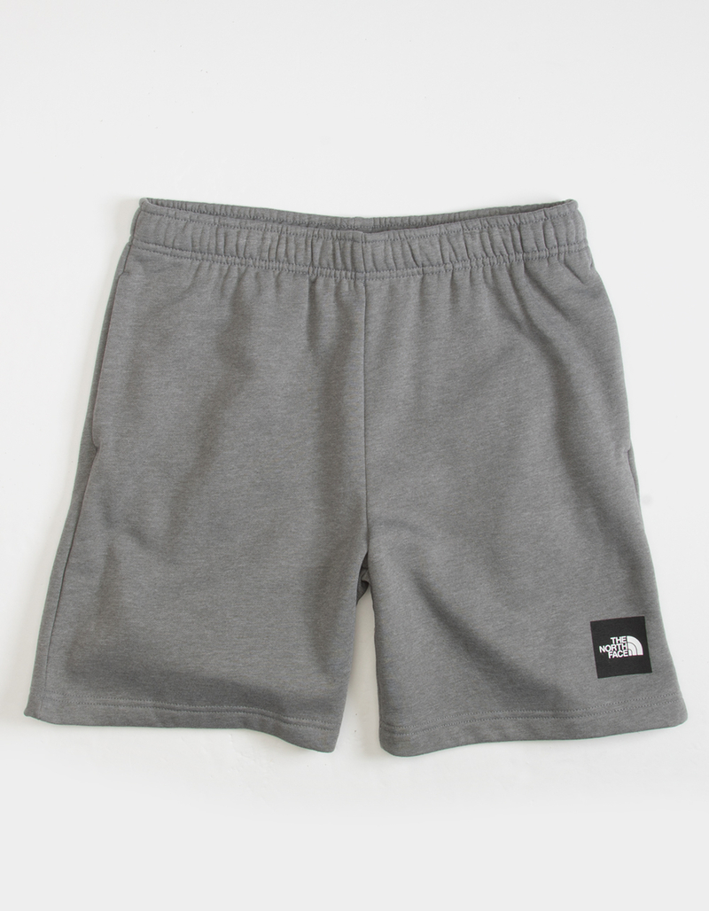 THE NORTH FACE Never Stop Mens Sweat Shorts image number 0