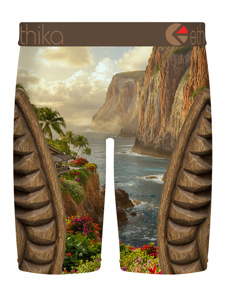 ETHIKA Big Island Staple Boys Boxer Briefs image number 1