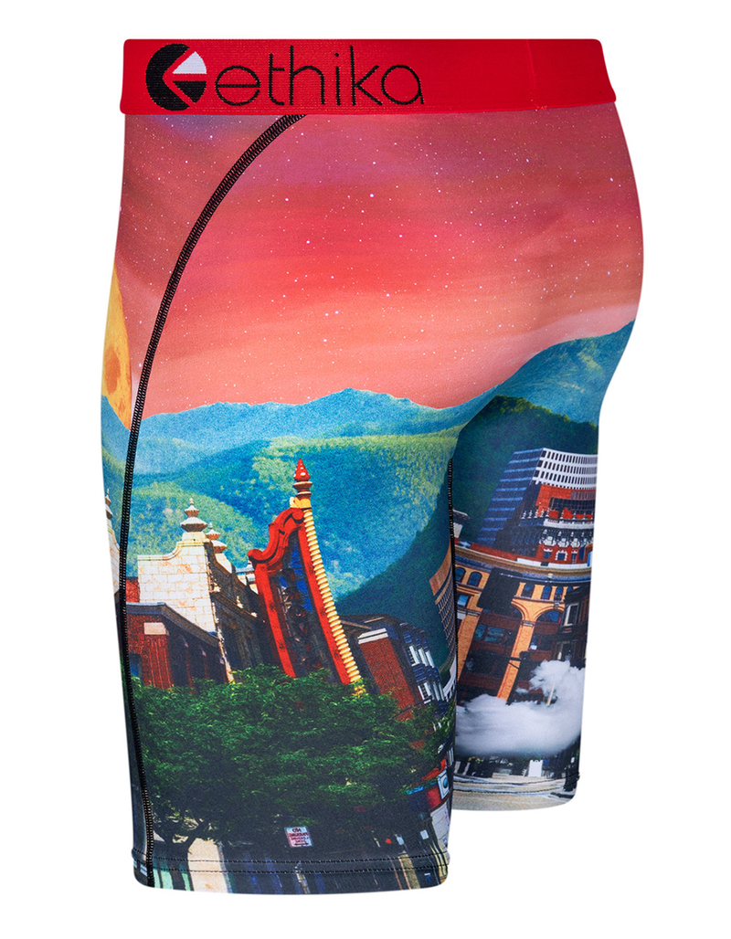 ETHIKA Astro Zoo Staple Boys Boxer Briefs image number 1