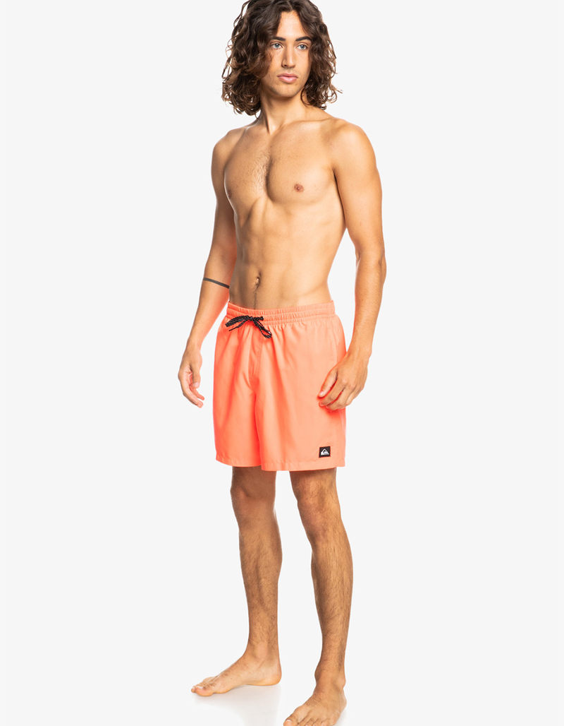 QUIKSILVER Everyday Mens 17" Volley Shorts image number 4
