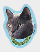 STICKIE BANDITS Kitty Chain Sticker image number 1