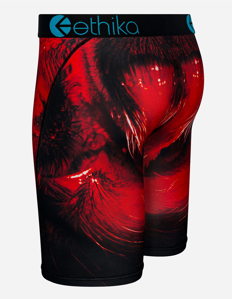 ETHIKA Don't Get Caught Boys Boxer Briefs image number 1