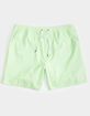 PUBLIC ACCESS Vintage Walker Mens Lime Volley Shorts image number 2