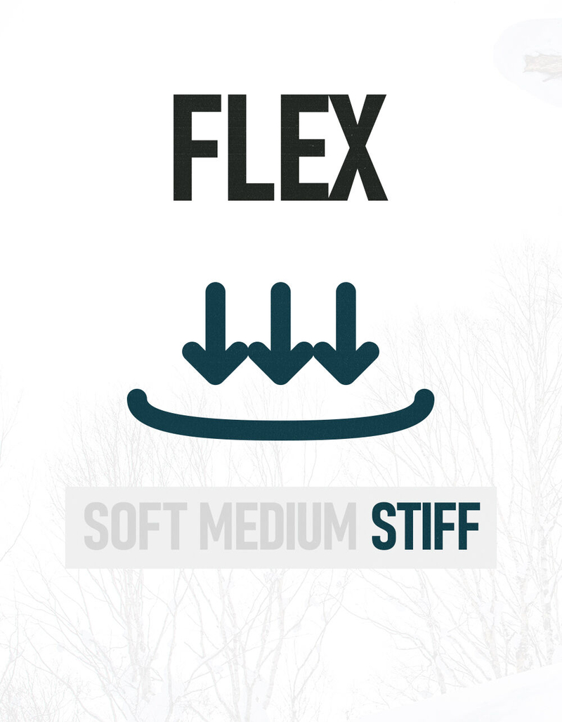 GNU Whip Snowboard image number 5