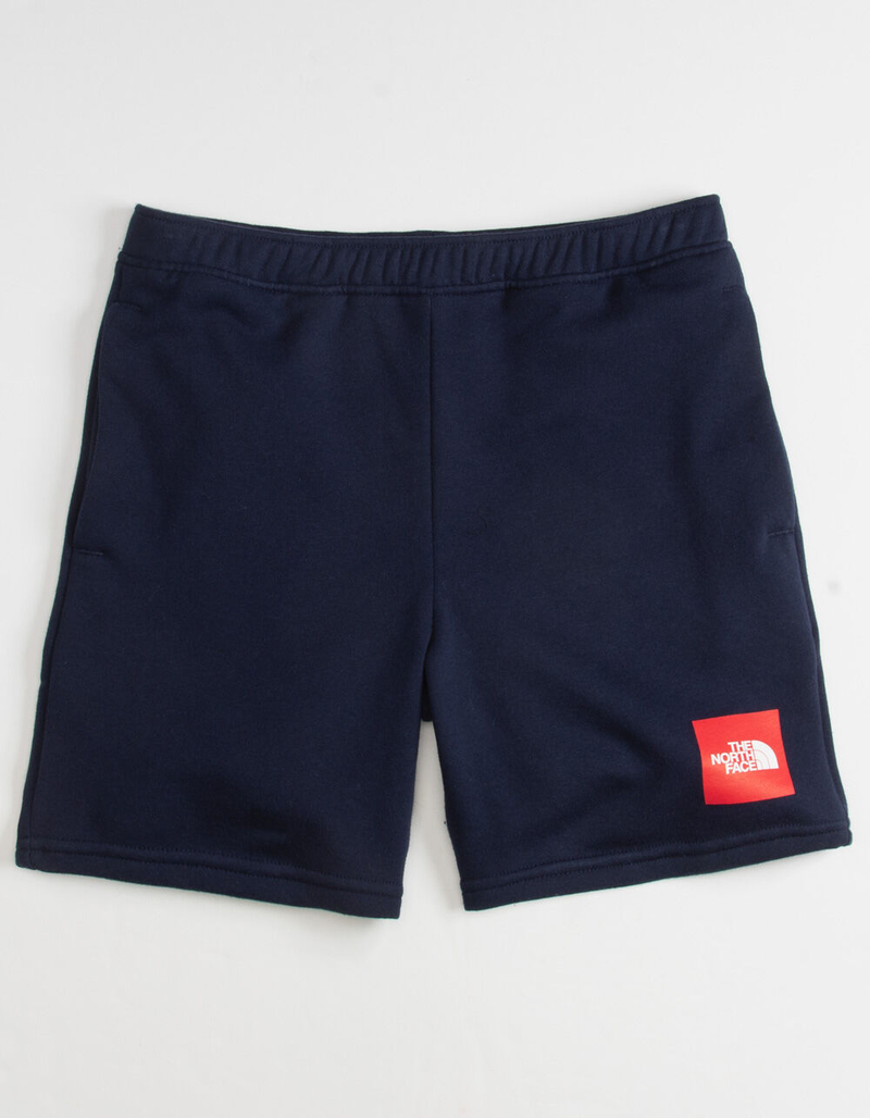 THE NORTH FACE Never Stop Boys Sweat Shorts image number 0