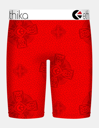 ETHIKA Prophesy Staple Boys Boxer Briefs Alternative Image