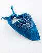 Tie Dye Paisley Bandana image number 1