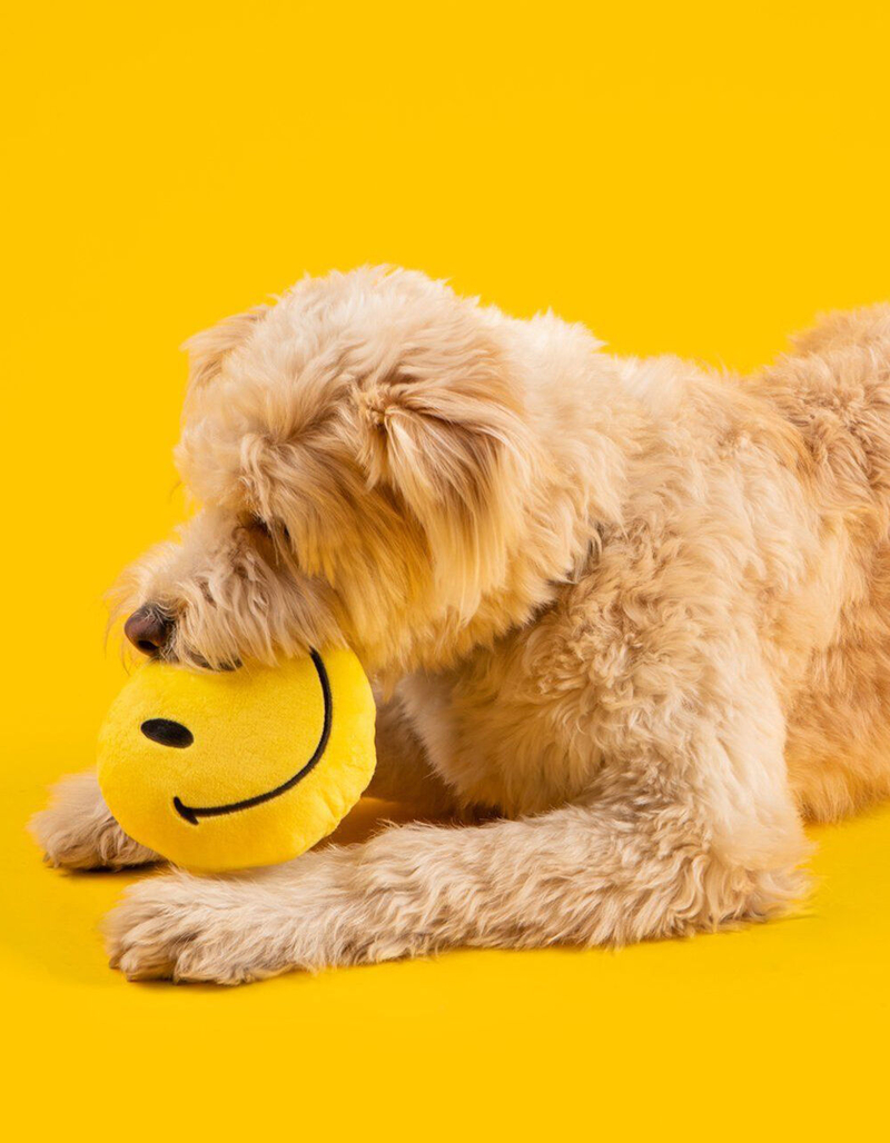 FRESH PAWZ Smiley Dog Toy image number 2