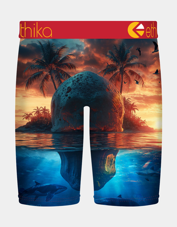 ETHIKA Skol Island Staple Boys Boxer Briefs Alternative Image