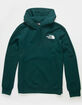 THE NORTH FACE Box NSE Mens Hoodie image number 2