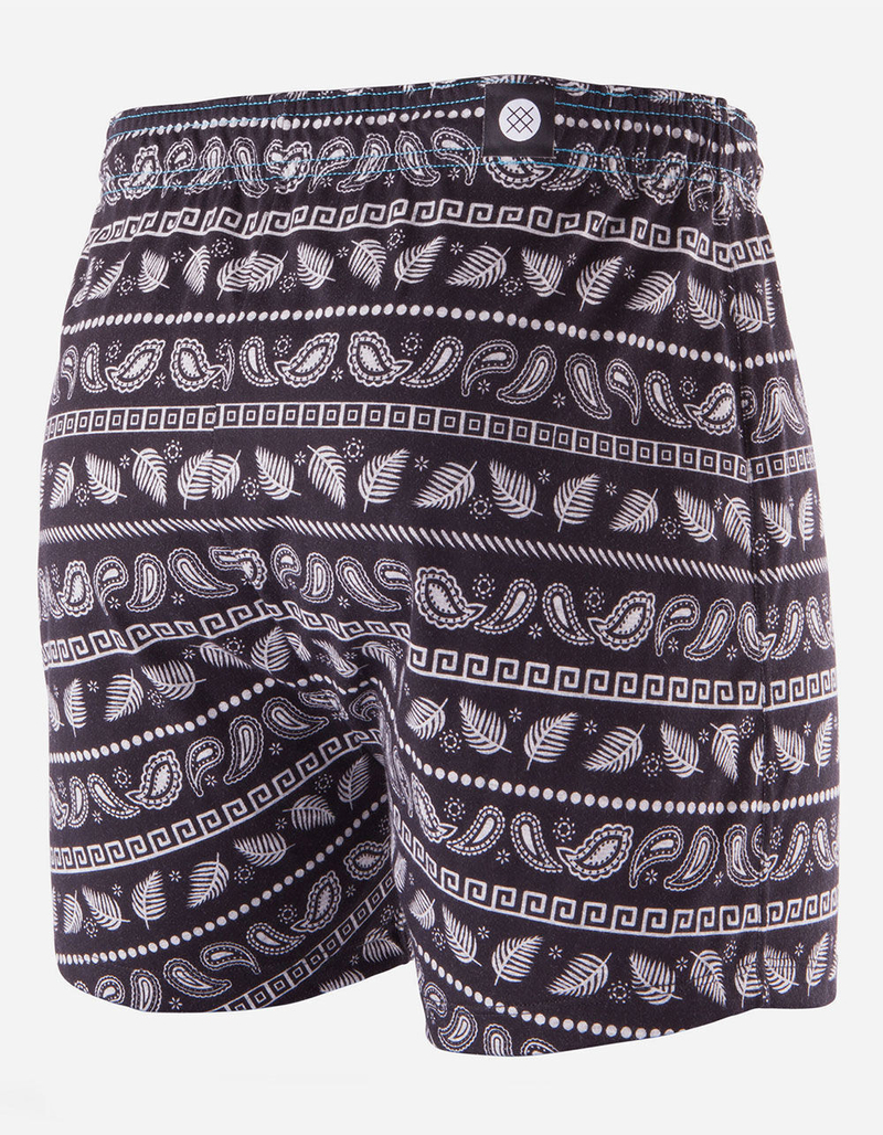 STANCE Paisley Stripe Mens Boxer Briefs image number 1