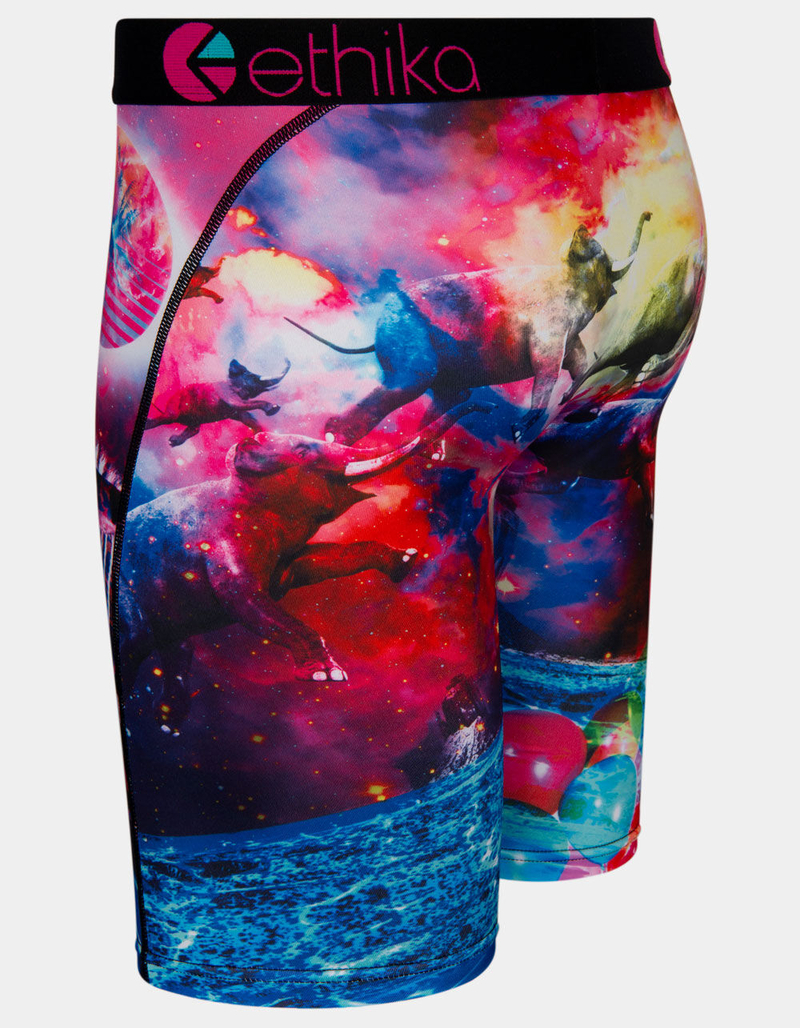 ETHIKA Dream Bruh Staple Boys Boxer Briefs image number 1