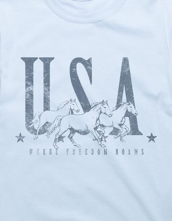 USA Freedom Roams Unisex Tee Alternative Image