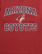 47 BRAND Arizona Coyotes Hockey Union Arch '47 Franklin Mens Tee image number 2