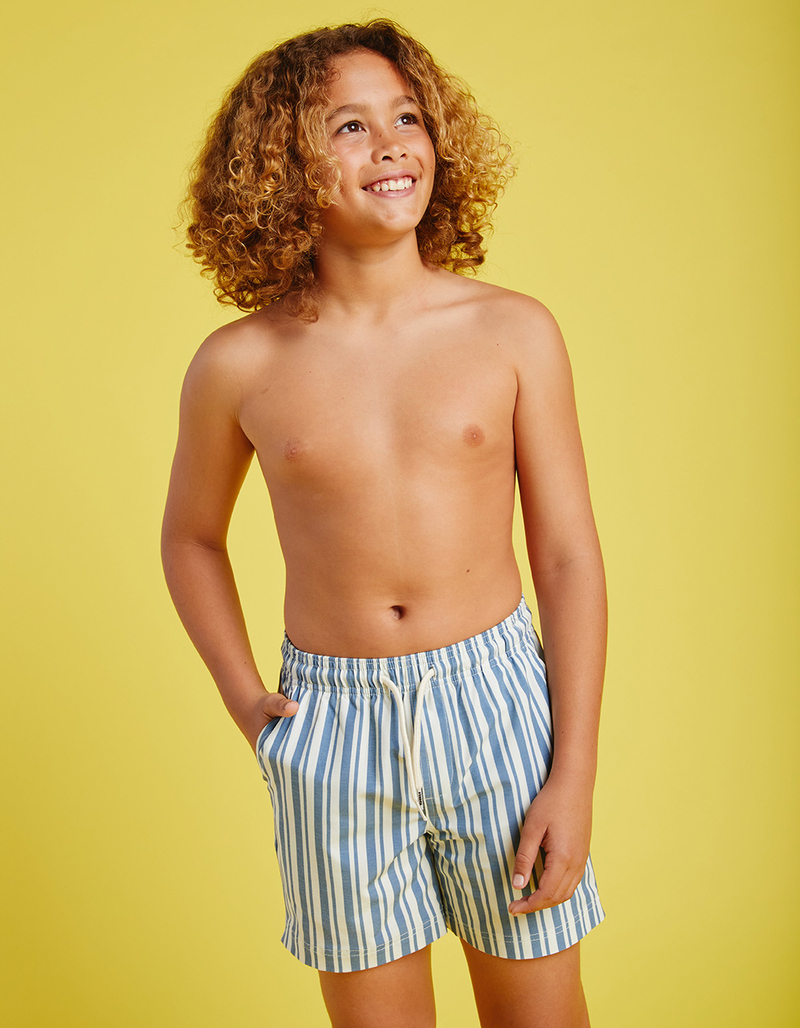 RSQ Boys Vertical Stripe 5'' Swim Shorts image number 4