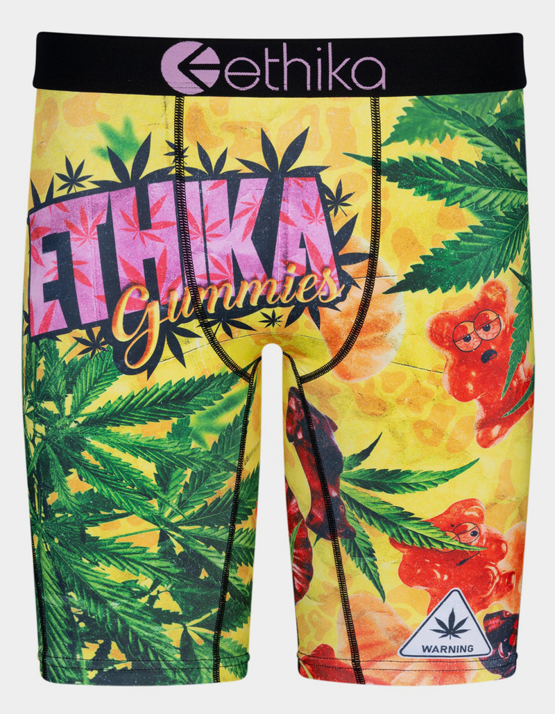 ETHIKA Serving Size Staple Mens Boxer Briefs MULTI Tillys