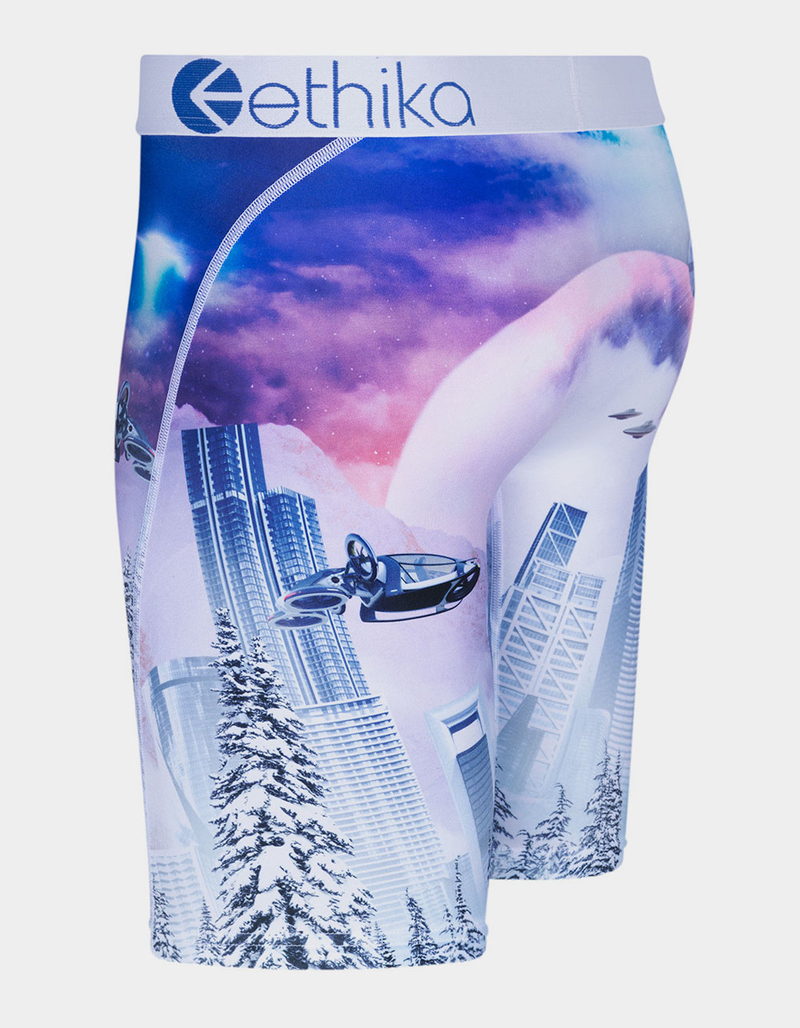 ETHIKA Future Freeze Boys Staple Boxer Briefs image number 1