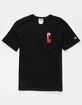 CHAMPION Ombre Felt Block C Mens Tee image number 1
