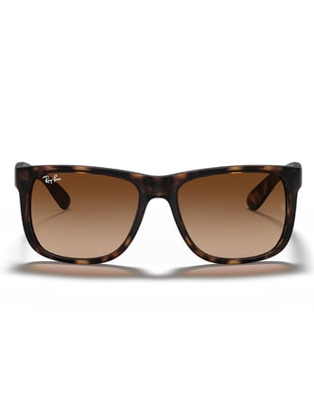 RAY-BAN Justin Classic Sunglasses Alternative Image