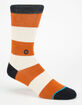 STANCE Waldorf Athletic Light Boys Socks image number 1