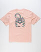 NIKE SB Scorpion Mens Tee image number 1