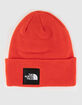 THE NORTH FACE Big Box Beanie image number 1