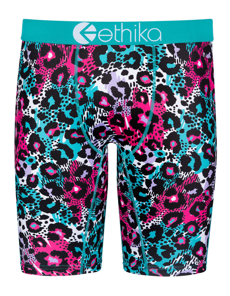 ETHIKA Coasta Leo Boys Boxer Briefs image number 0