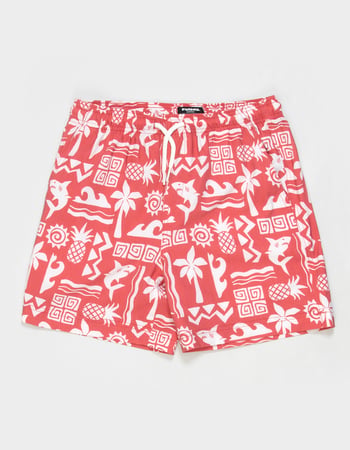 RSQ Boys Matisse Swim Trunks Alternative Image