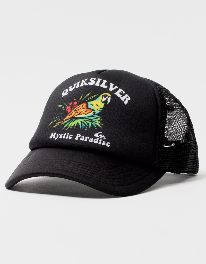 QUIKSILVER Birds Of Cray Boys Trucker Hat image number 0