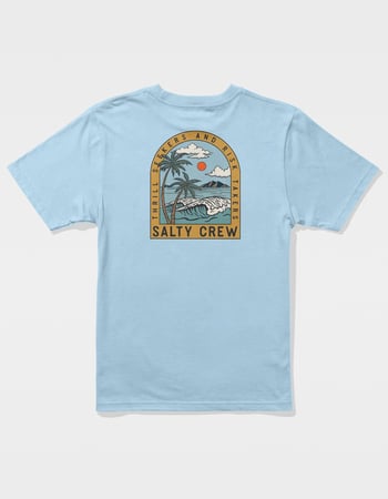 SALTY CREW Archway Boys Tee Alternative Image