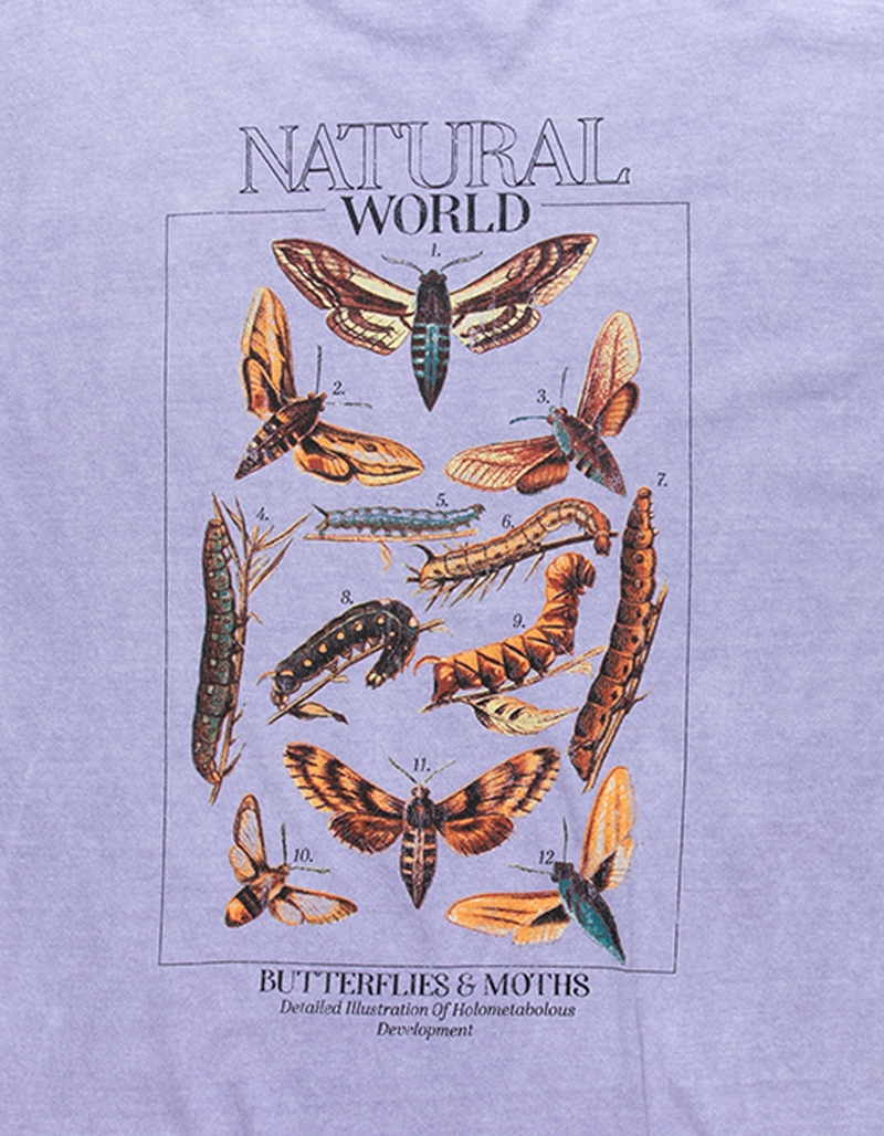 BDG Urban Outfitters Natural World Butterfly Mens Tee image number 2