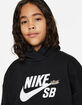 NIKE SB Icon Fleece Boys Pullover Hoodie image number 5