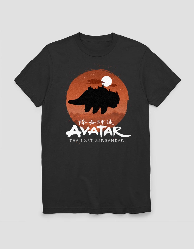 AVATAR THE LAST AIRBENDER Team Avatar Haunt Unisex Tee image number 0