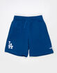 PRO STANDARD Los Angeles Dodgers Boys Embroidered Shorts image number 1