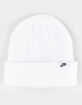 NIKE Terra Futura365 Short-Cuff Beanie image number 2