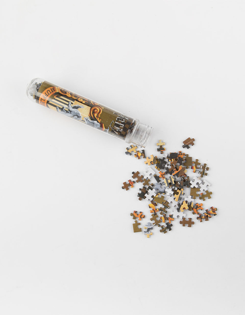 Harry Potter Puzzle Tube image number 0