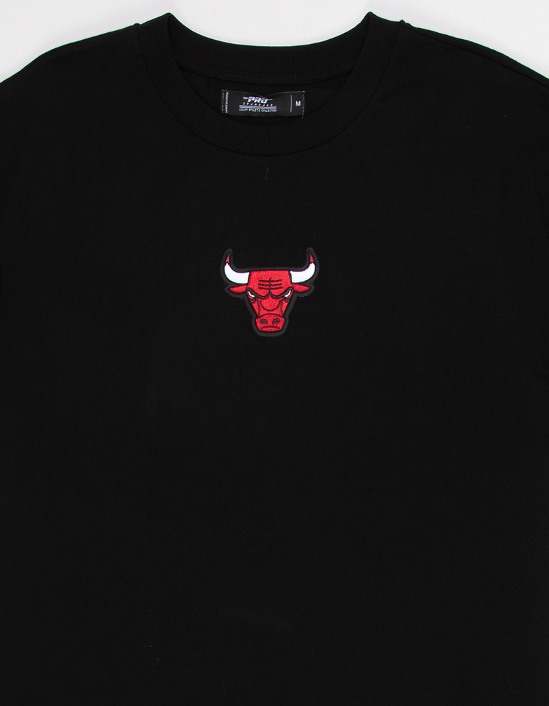 PRO STANDARD Chicago Bulls Mens Tee image number 2