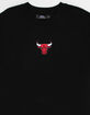 PRO STANDARD Chicago Bulls Mens Tee image number 3