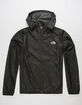 THE NORTH FACE Cyclone 2 Black Mens Windbreaker Jacket image number 1