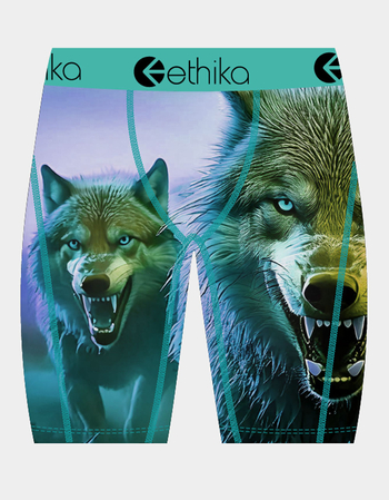 ETHIKA Staple Boys Boxer Briefs Primary Image
