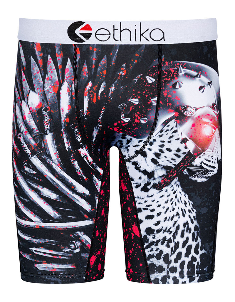 ETHIKA Leo Max Boys Boxer Briefs image number 0