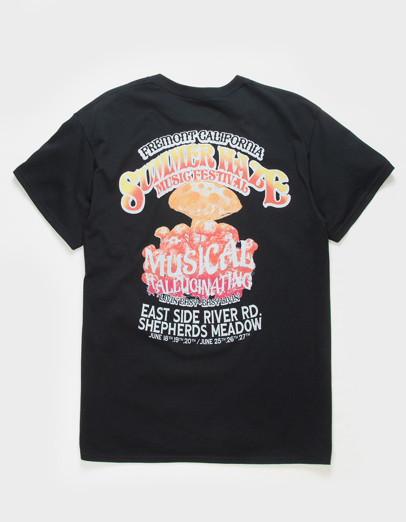 EVERYDAY VANDALS Summer Music Mens Tee image number 0