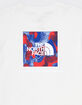 THE NORTH FACE Red White And Blue Mens Tee image number 3