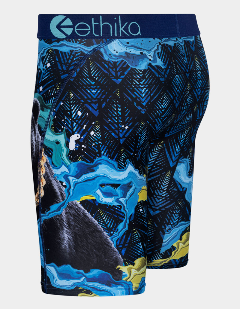 ETHIKA Kingdom Staple Mens Boxer Briefs image number 1