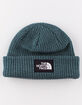 THE NORTH FACE Salty Dog Blue Beanie image number 1