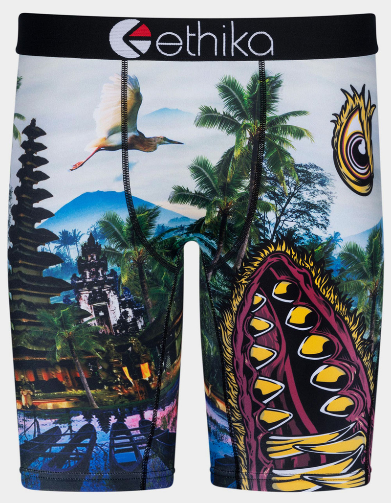 ETHIKA Bomber Primal Staple Mens Boxer Briefs image number 0