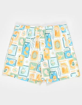 RSQ Mens Citrus 5" Swim Shorts Primary Image