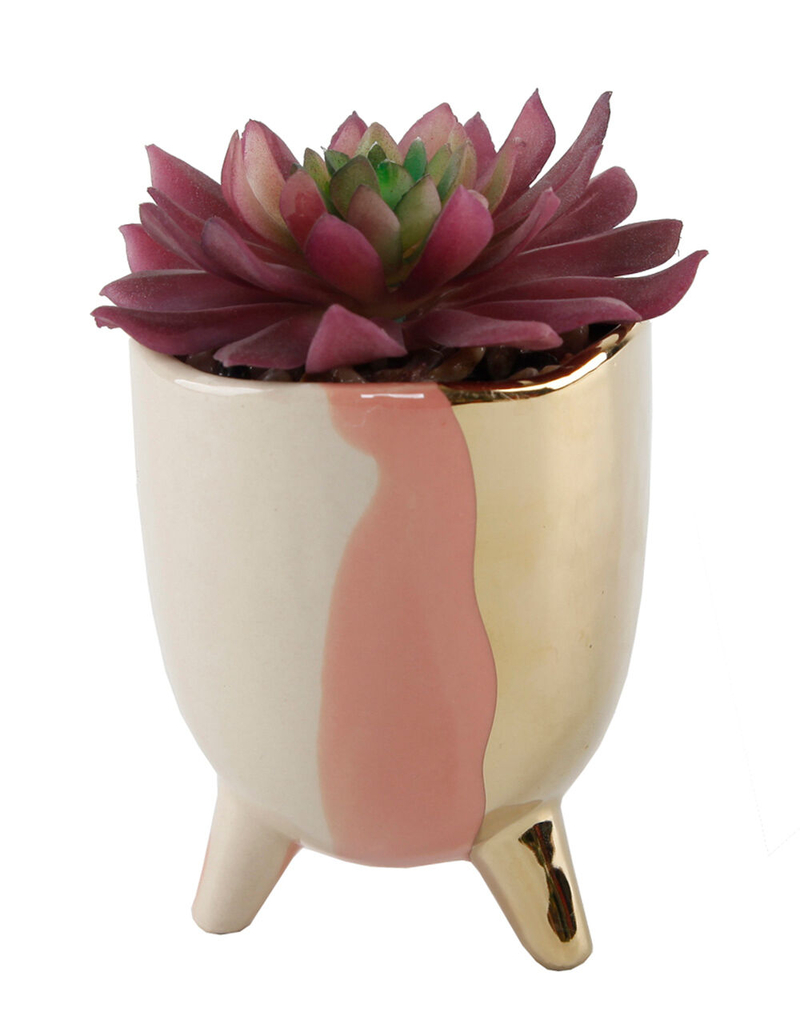 FLORA BUNDA Blush Succulent Pot image number 0